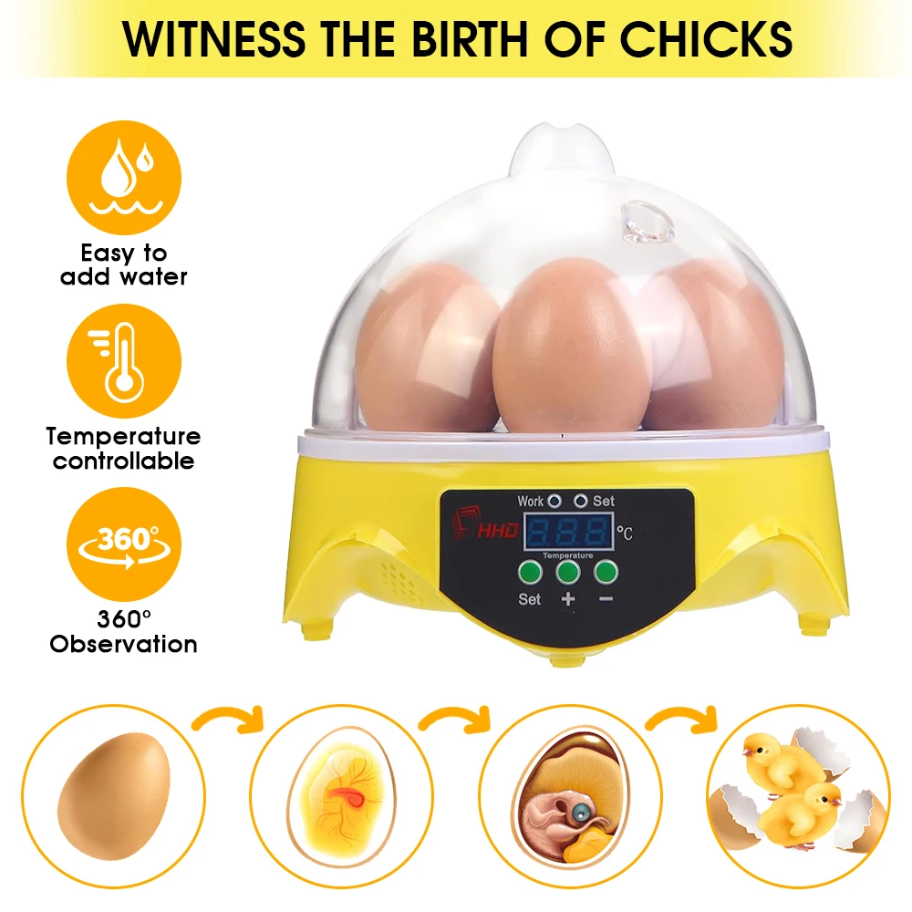 Quail Egg Incubator - 7 Capacity- Mini Sized Intelligent Automatic