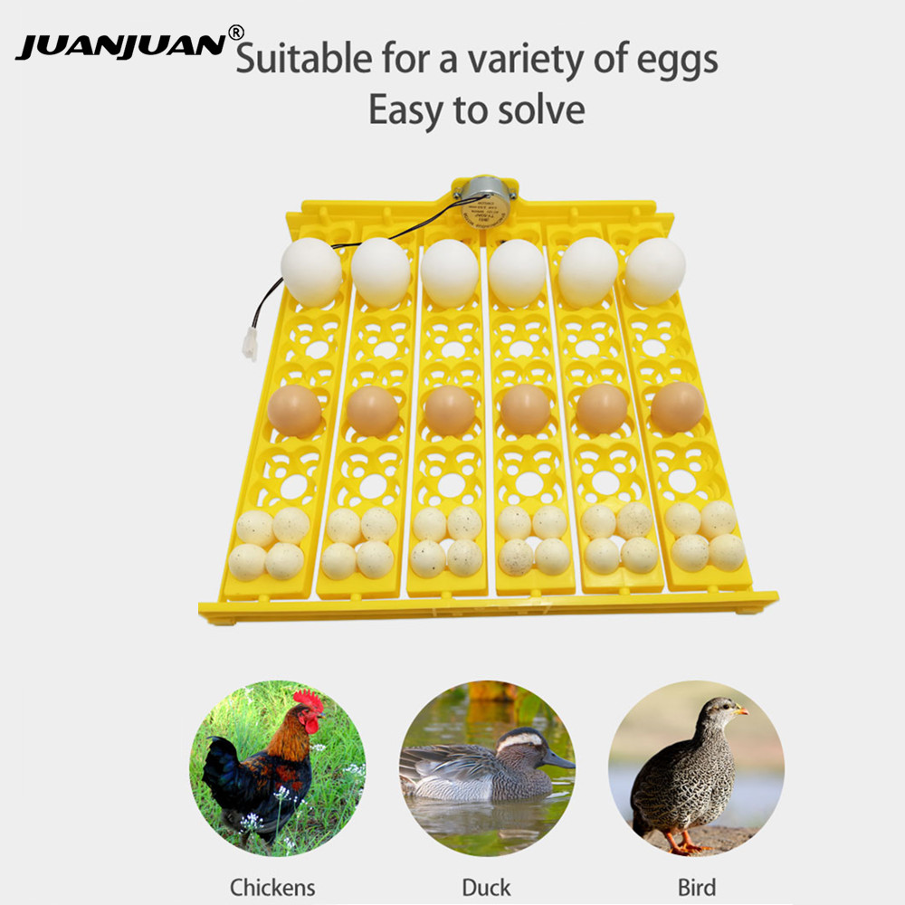 Quail Egg Incubator - 24 Eggs Tray Incubator Turner Automatically
