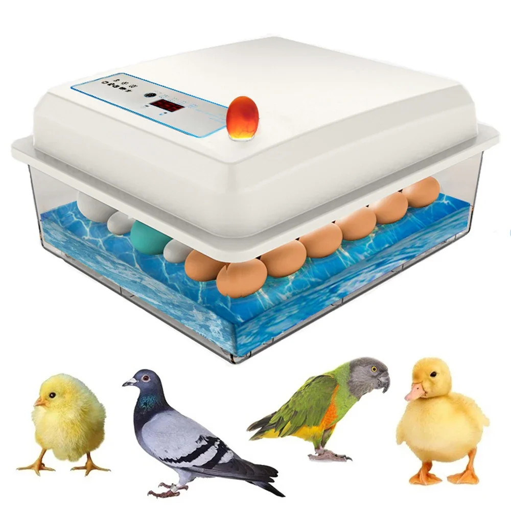 Quail Egg Incubator - 20 Eggs Incubator Set Fully Automatic