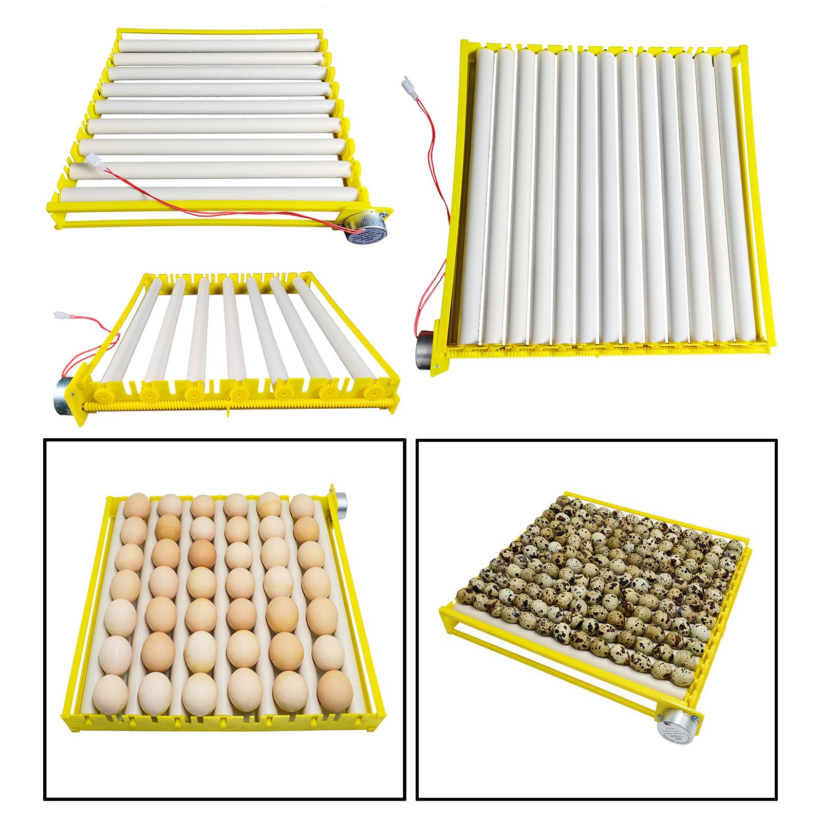 Plastic Egg Incubator Tray Aut – Quail Egg Incubator Bewertung und Preis