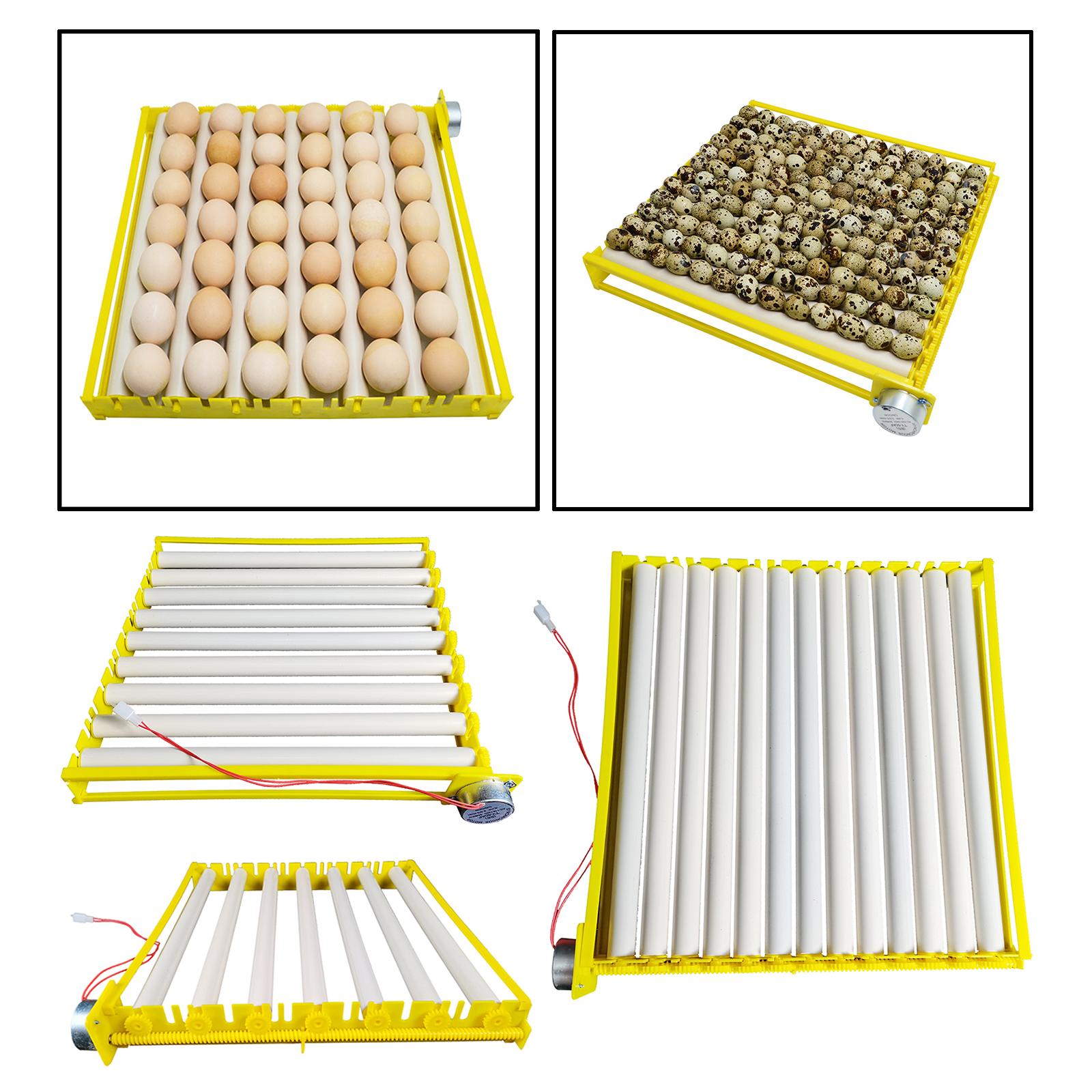 Plastic Egg Incubator Tray Aut – Quail Egg Incubator Bewertung und Preis