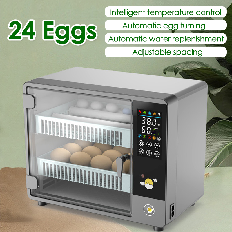 24 Eggs Full Automatic Turning – Quail Egg Incubator Bewertung und Preis