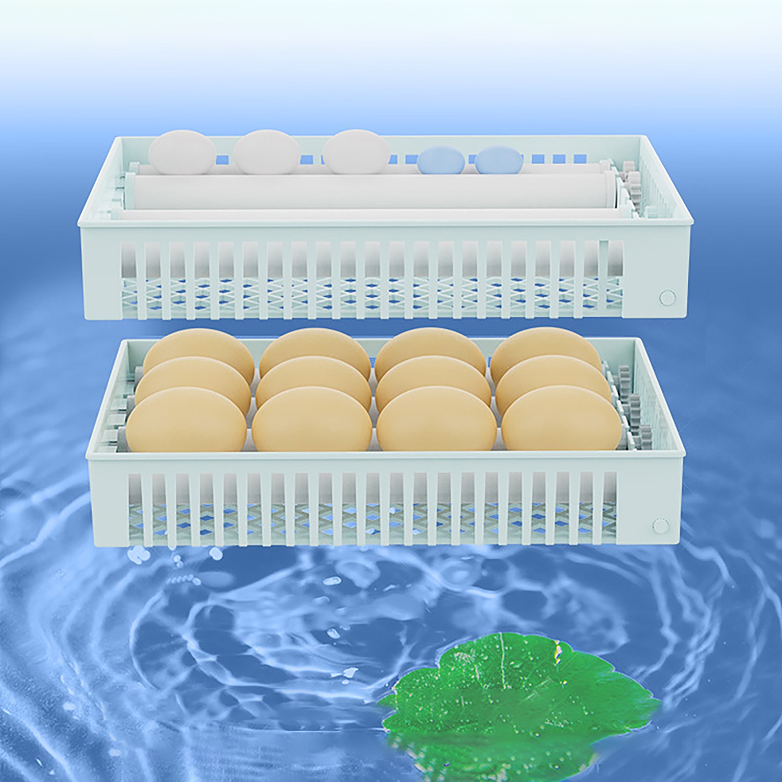24 Eggs Full Automatic Turning – Quail Egg Incubator Bewertung und Preis