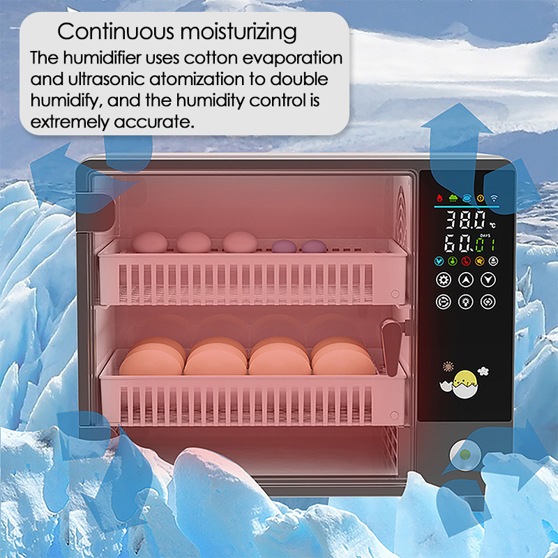 24 Eggs Full Automatic Turning – Quail Egg Incubator Bewertung und Preis