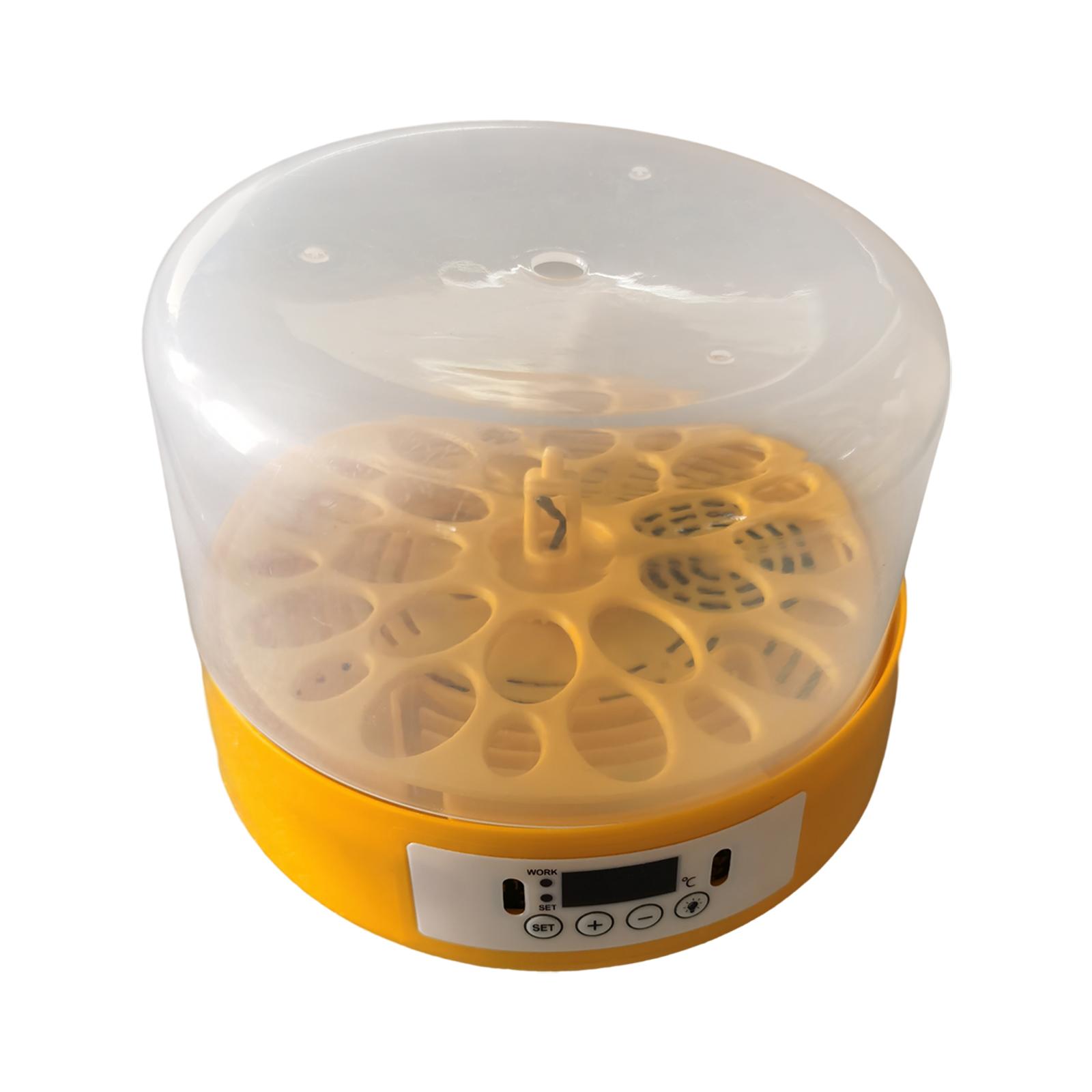 Egg Incubator Egg Turner Egg H – Quail Egg Incubator Bewertung und Preis