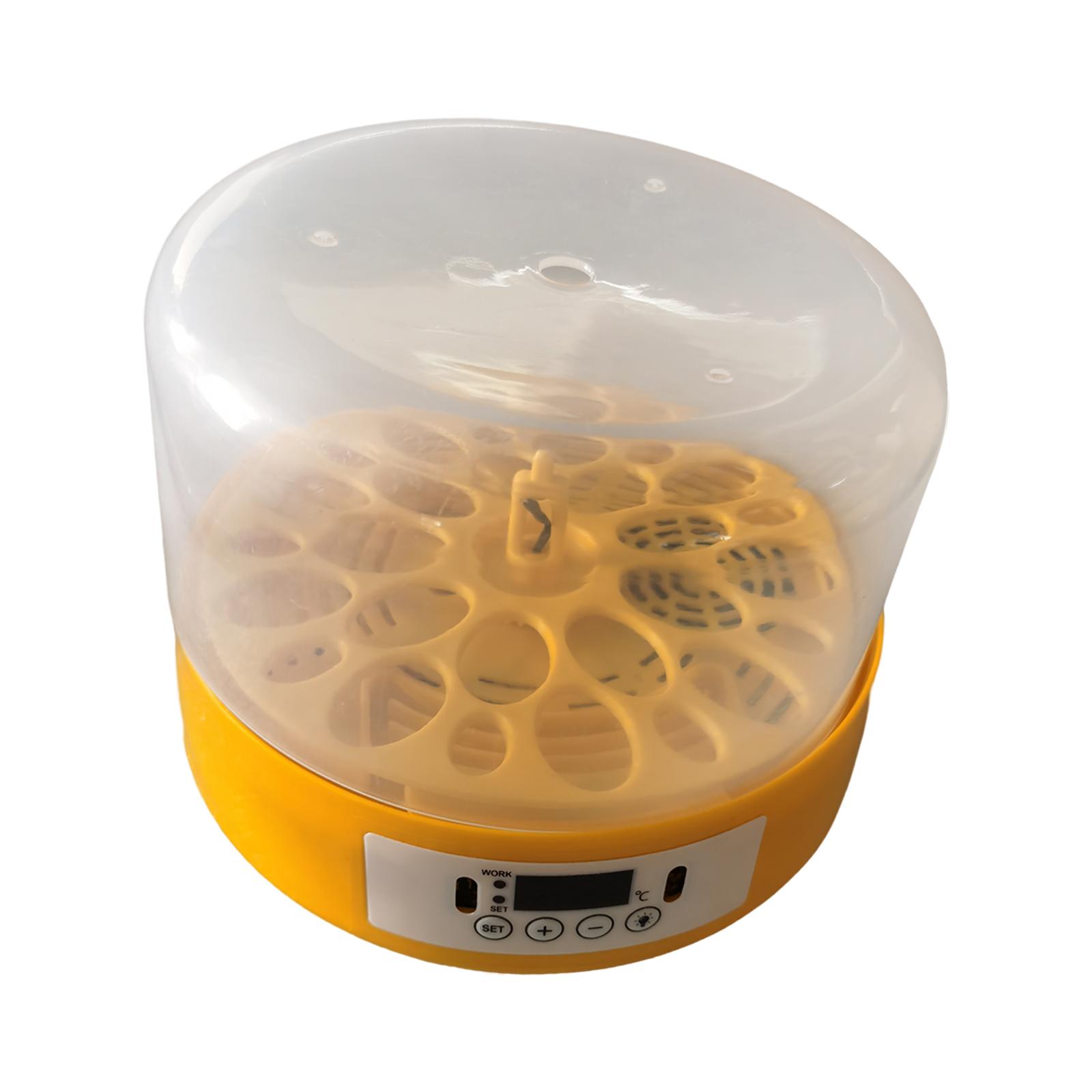 Egg Incubator Egg Turner Egg H – Quail Egg Incubator Bewertung und Preis