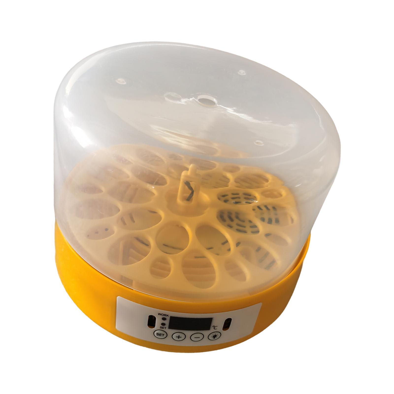 Egg Incubator Egg Turner Egg H – Quail Egg Incubator Bewertung und Preis