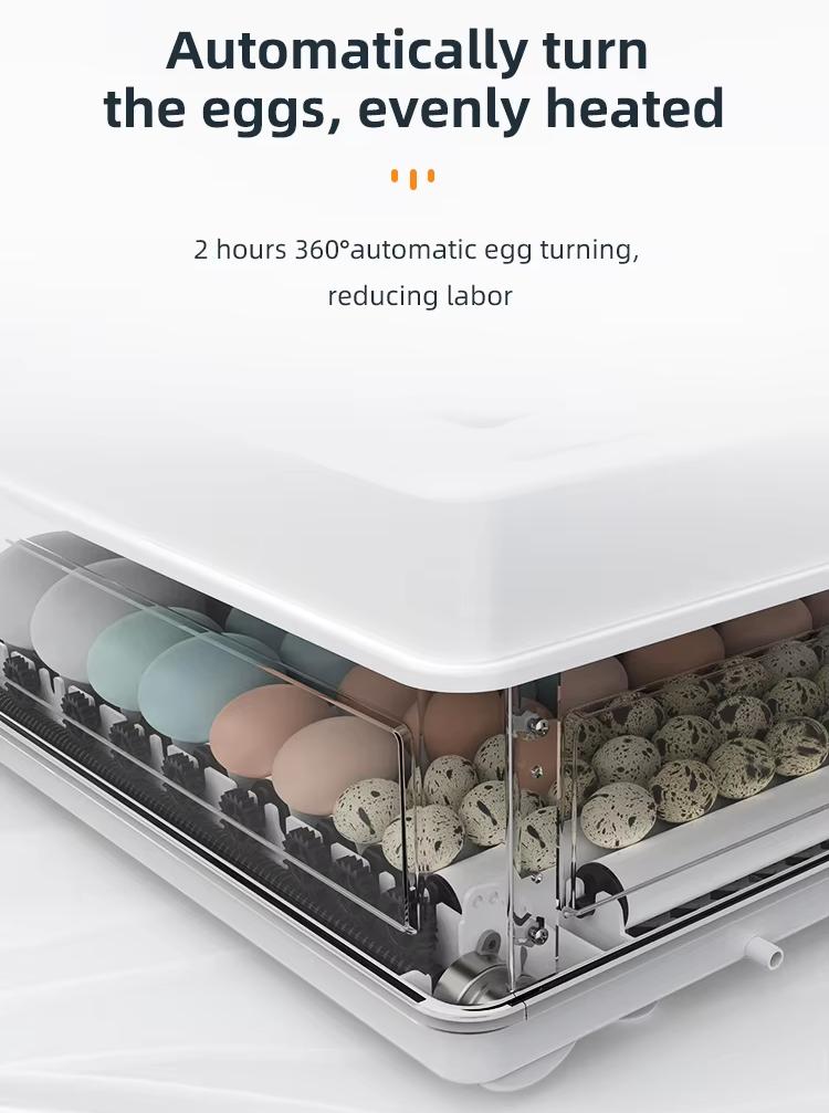 Fully Automatic 130 Capacity E – Quail Egg Incubator Bewertung und Preis