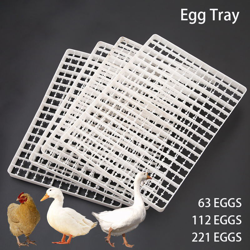 1Pcs Egg Tray For Incubator Au – Quail Egg Incubator Bewertung und Preis
