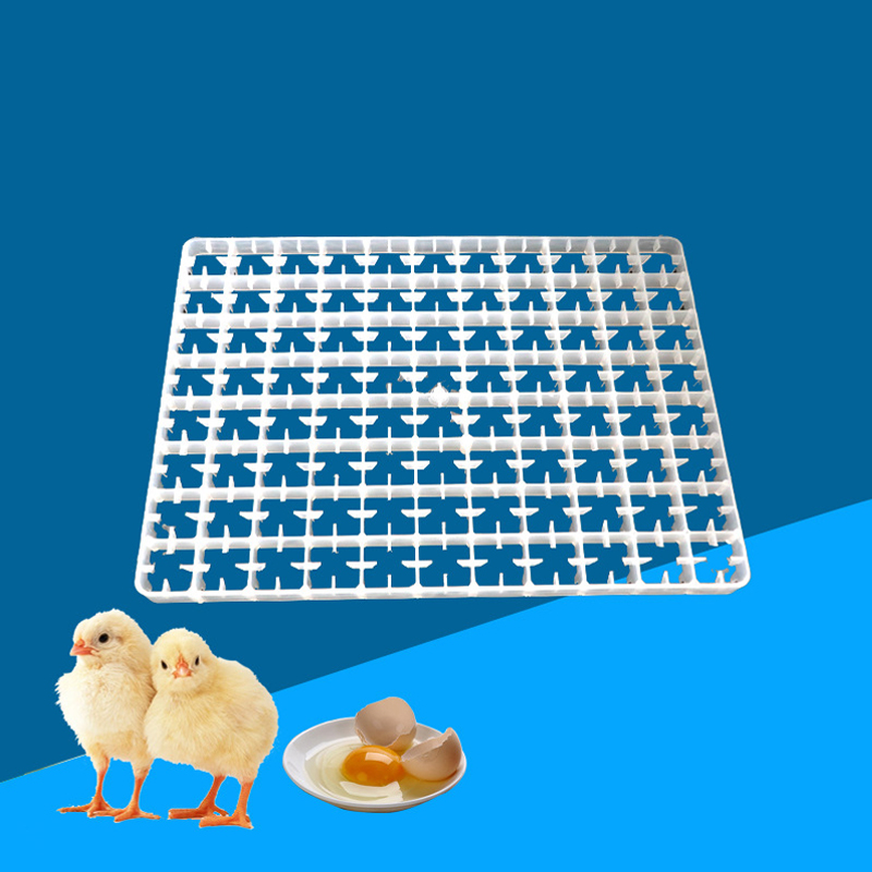 1Pcs Egg Tray For Incubator Au – Quail Egg Incubator Bewertung und Preis