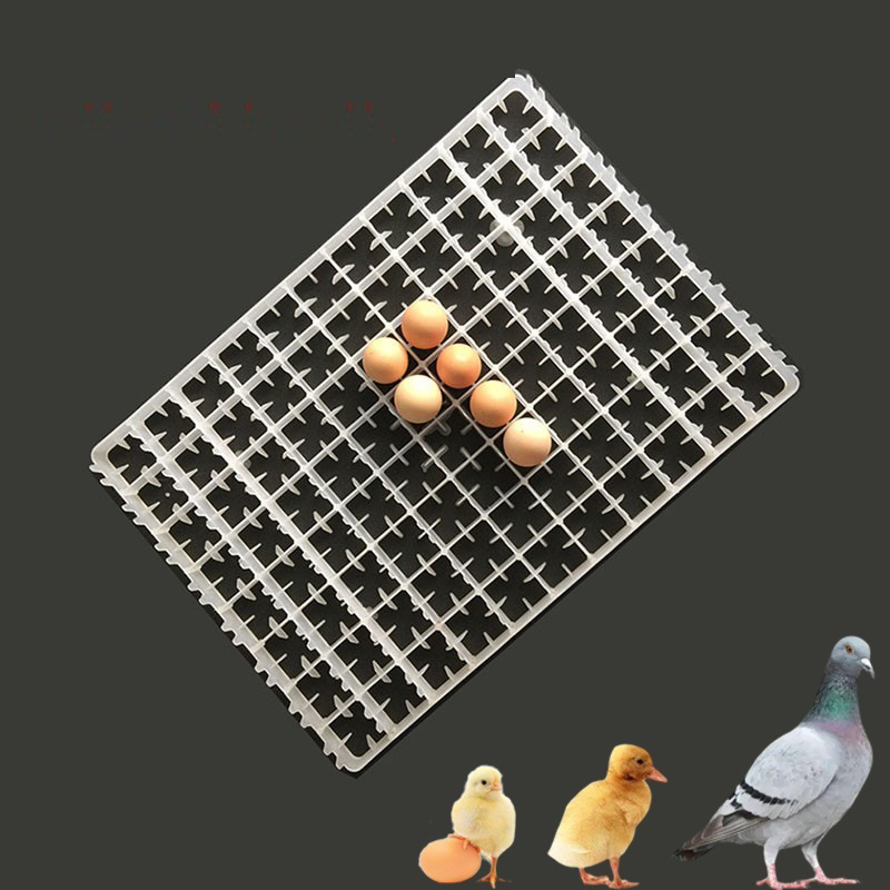 1Pcs Egg Tray For Incubator Au – Quail Egg Incubator Bewertung und Preis