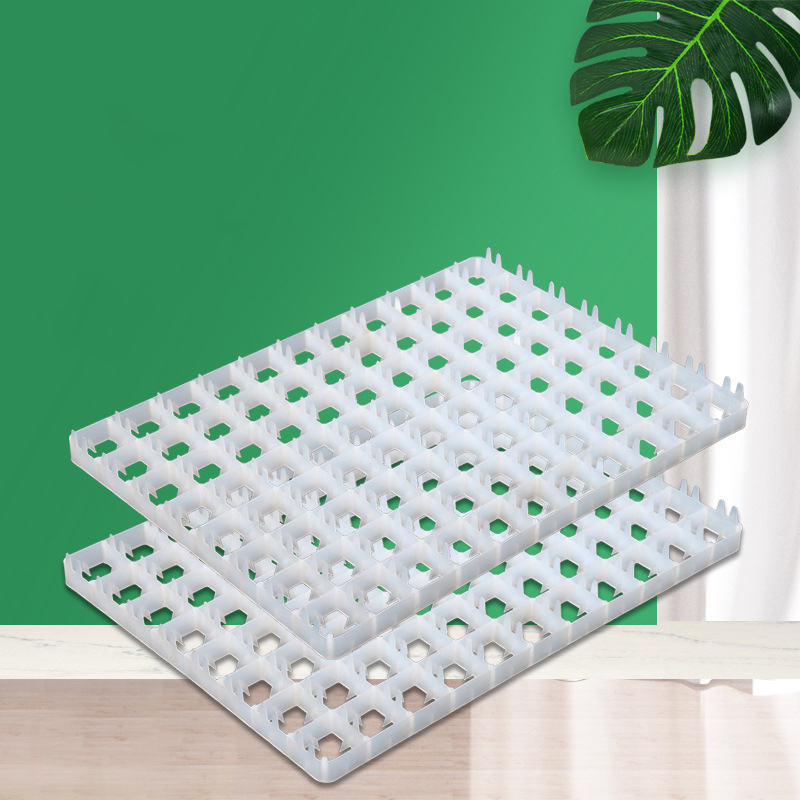1Pcs Egg Tray For Incubator Au – Quail Egg Incubator Bewertung und Preis