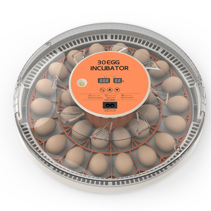 STLF30 Eggs Home Use Incubator – Quail Egg Incubator Bewertung und Preis