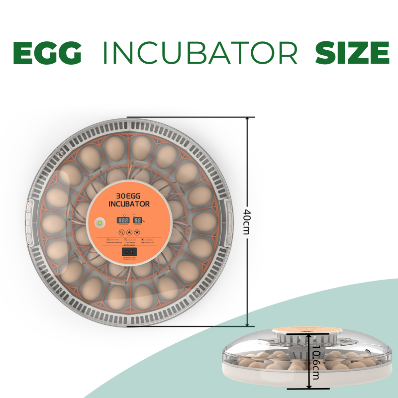 STLF30 Eggs Home Use Incubator – Quail Egg Incubator Bewertung und Preis