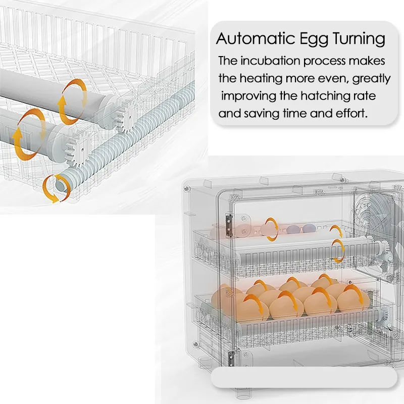 24 Eggs Incubator Fully Automa – Quail Egg Incubator Bewertung und Preis