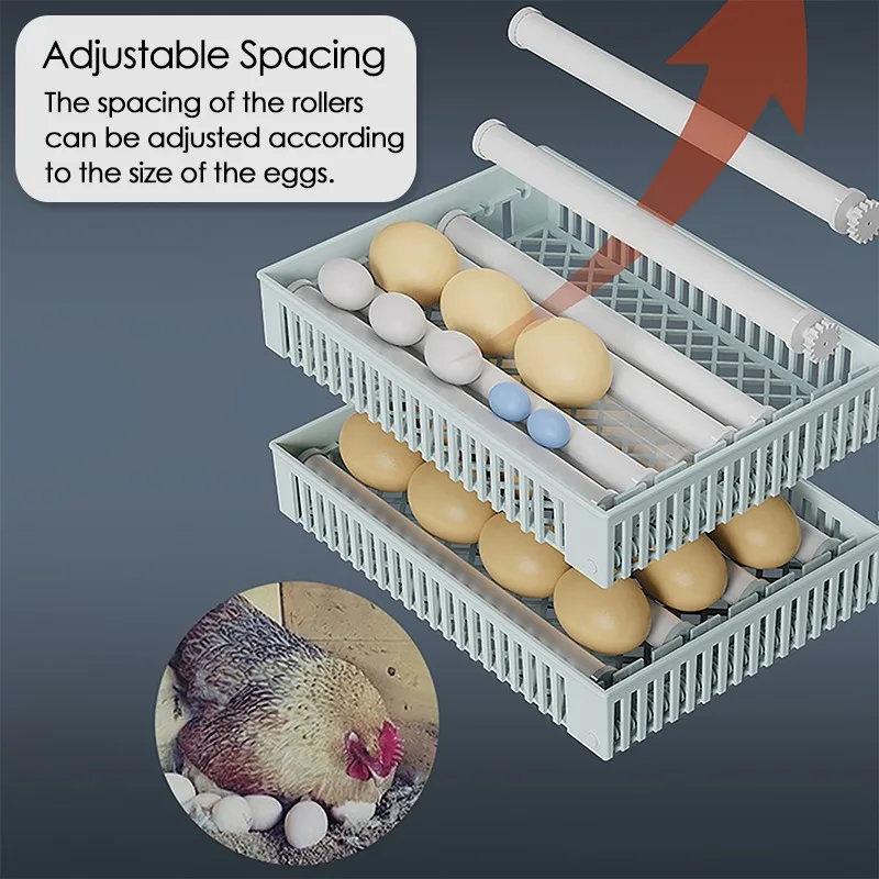 24 Eggs Incubator Fully Automa – Quail Egg Incubator Bewertung und Preis