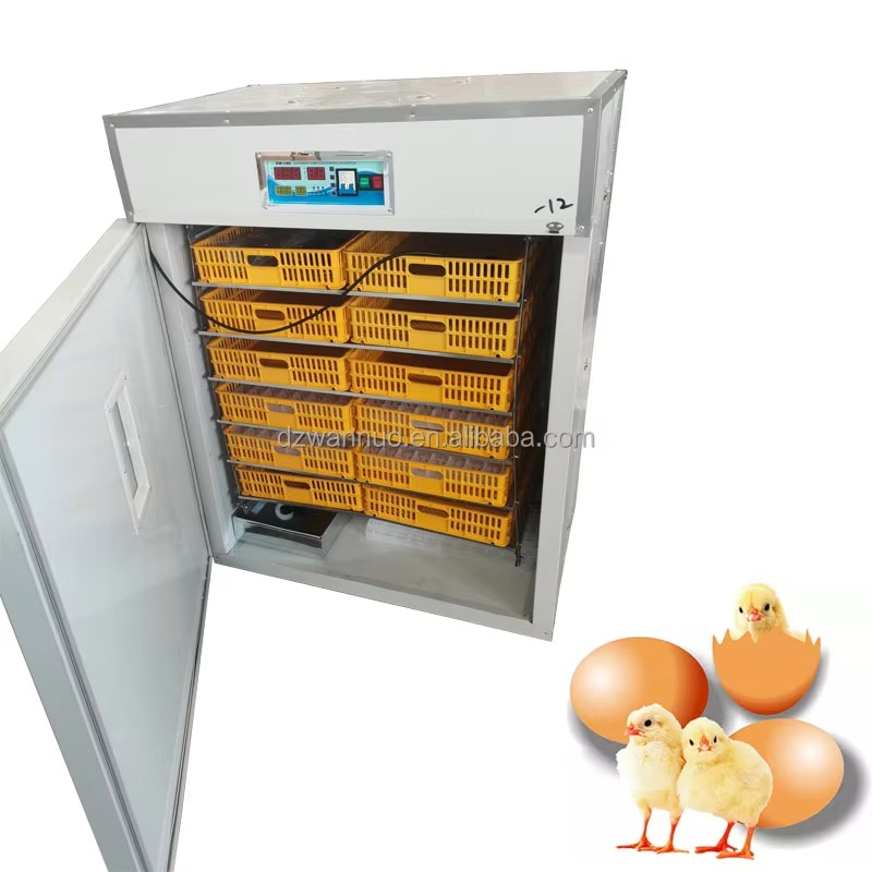 Wholesale New Full-automatic I – Quail Egg Incubator Bewertung und Preis