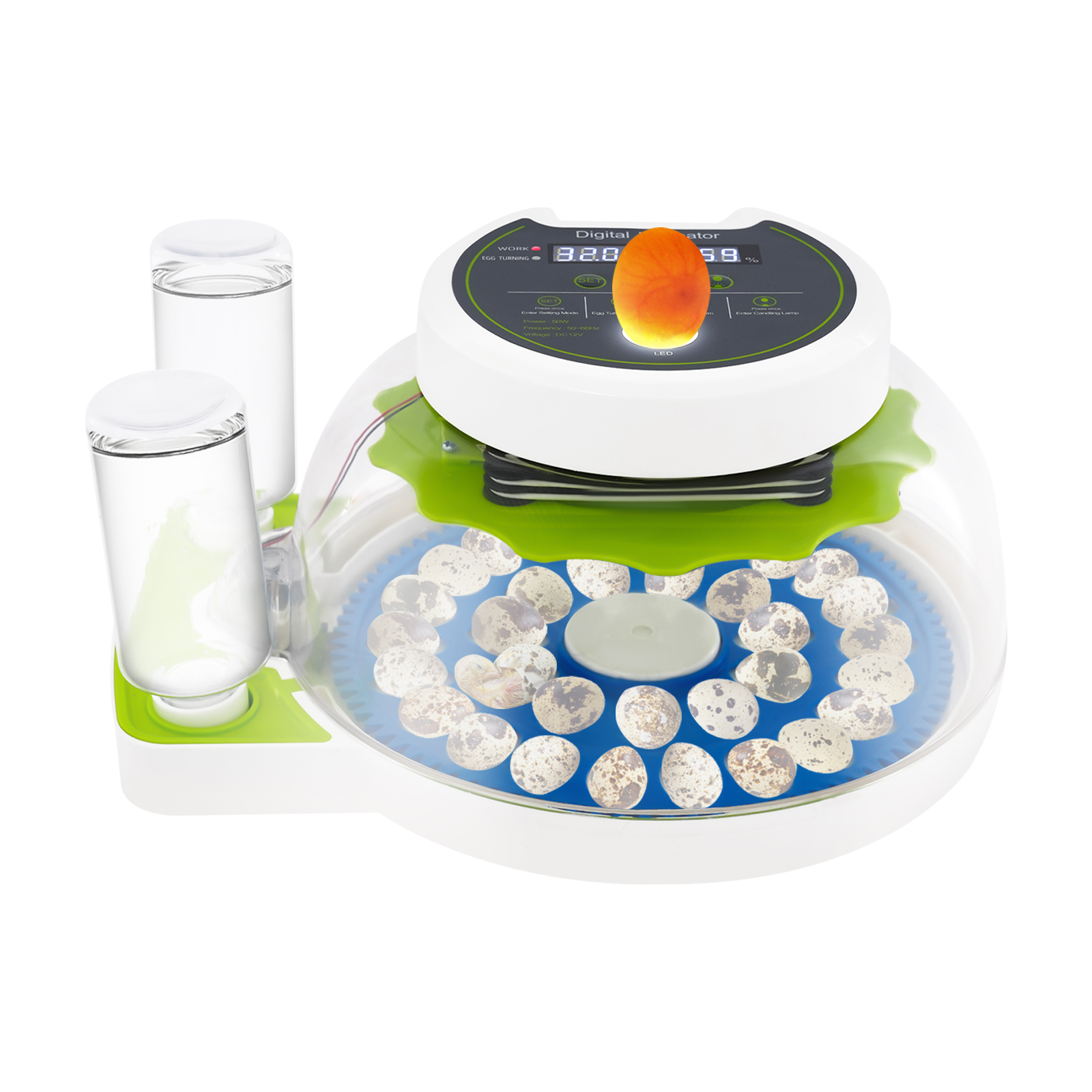 50W 12.2*9.84*6.1in Quail Egg  – Quail Egg Incubator Bewertung und Preis