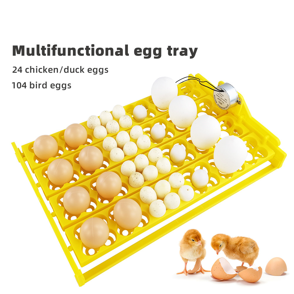 24pcs Eggs Incubator Tray Auto – Quail Egg Incubator Bewertung und Preis