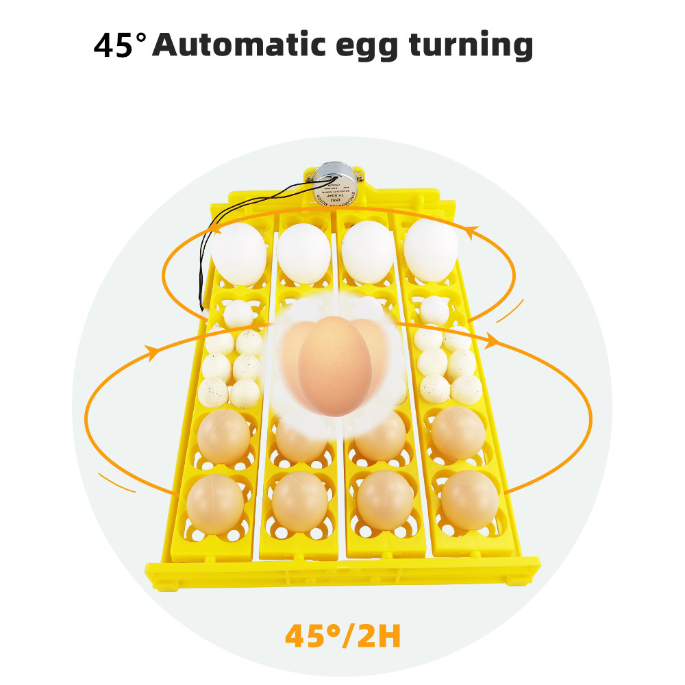 24pcs Eggs Incubator Tray Auto – Quail Egg Incubator Bewertung und Preis