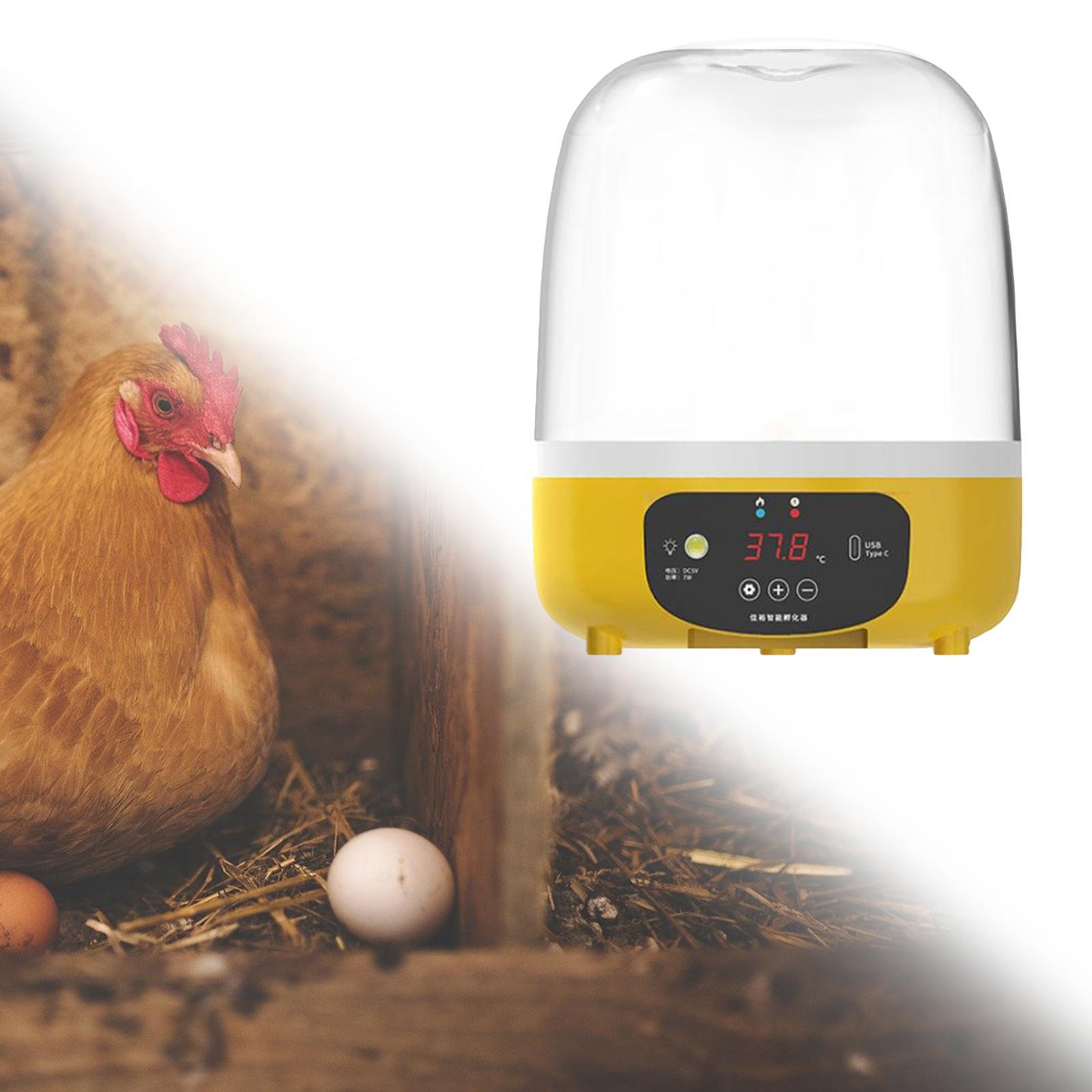 Digital Automatic Egg Incubato – Quail Egg Incubator Bewertung und Preis