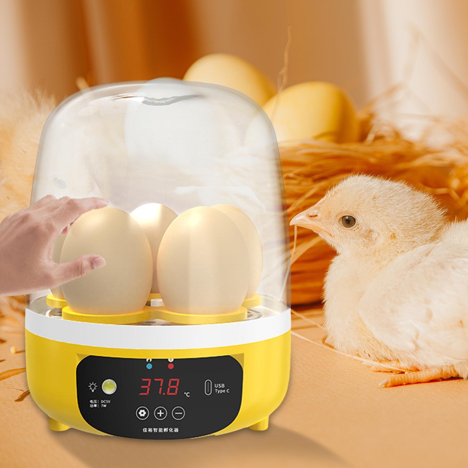 Digital Automatic Egg Incubato – Quail Egg Incubator Bewertung und Preis