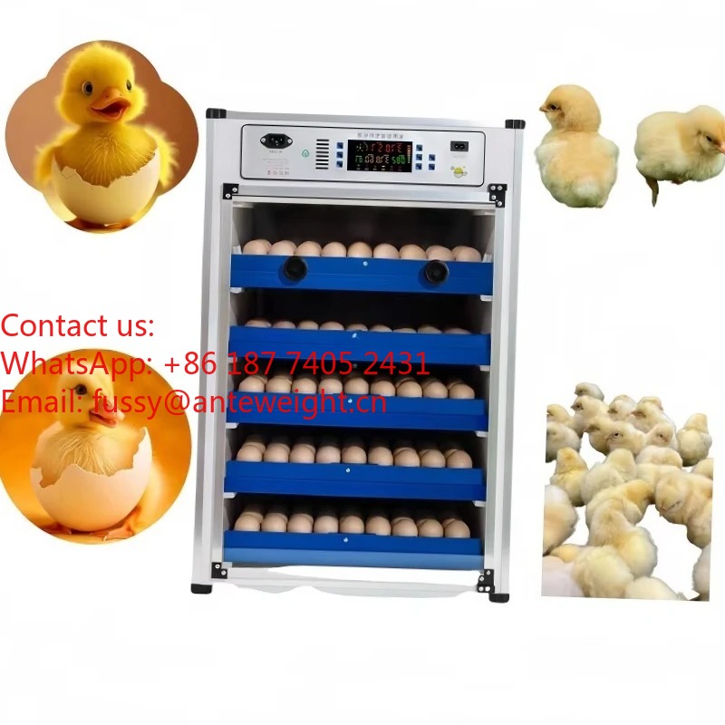 2026 Commercial-Grade 100 Eggs – Quail Egg Incubator Bewertung und Preis