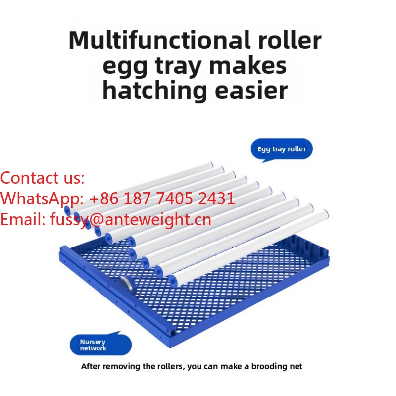 2026 Commercial-Grade 100 Eggs – Quail Egg Incubator Bewertung und Preis