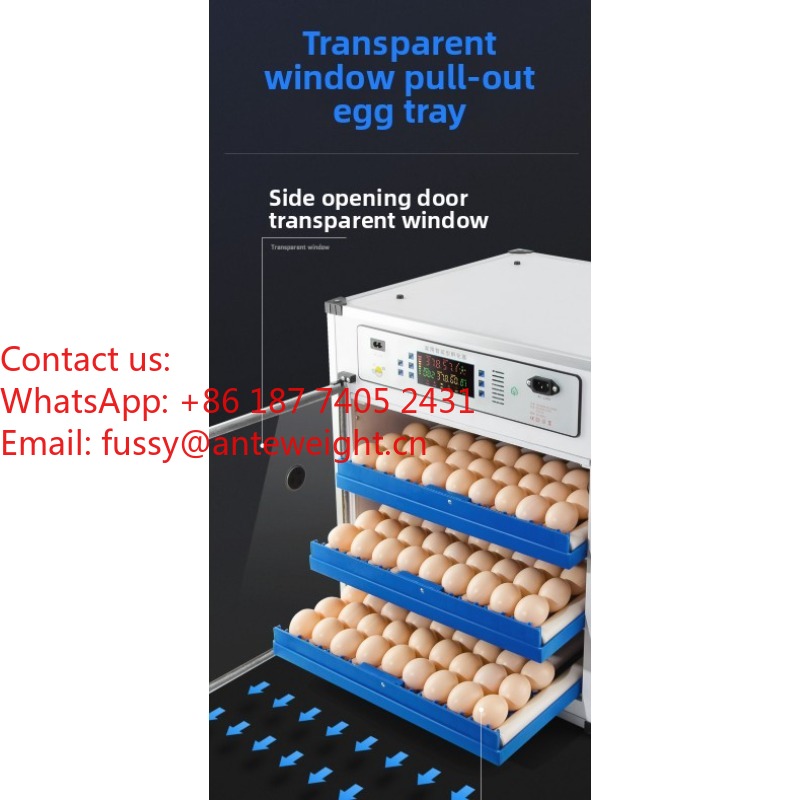 2026 Commercial-Grade 100 Eggs – Quail Egg Incubator Bewertung und Preis