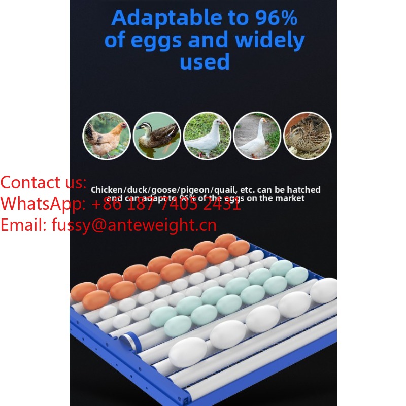 2026 Commercial-Grade 100 Eggs – Quail Egg Incubator Bewertung und Preis