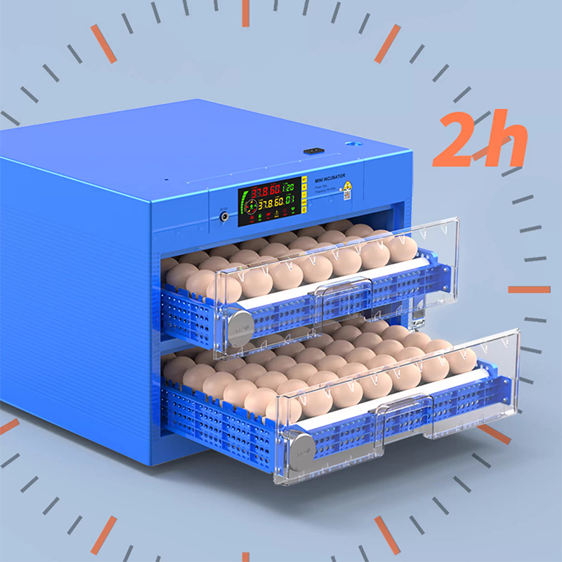 220V Digital Intelligent Poult – Quail Egg Incubator Bewertung und Preis