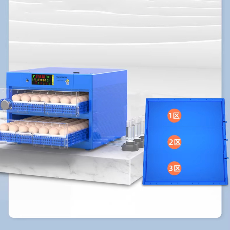 220V Digital Intelligent Poult – Quail Egg Incubator Bewertung und Preis