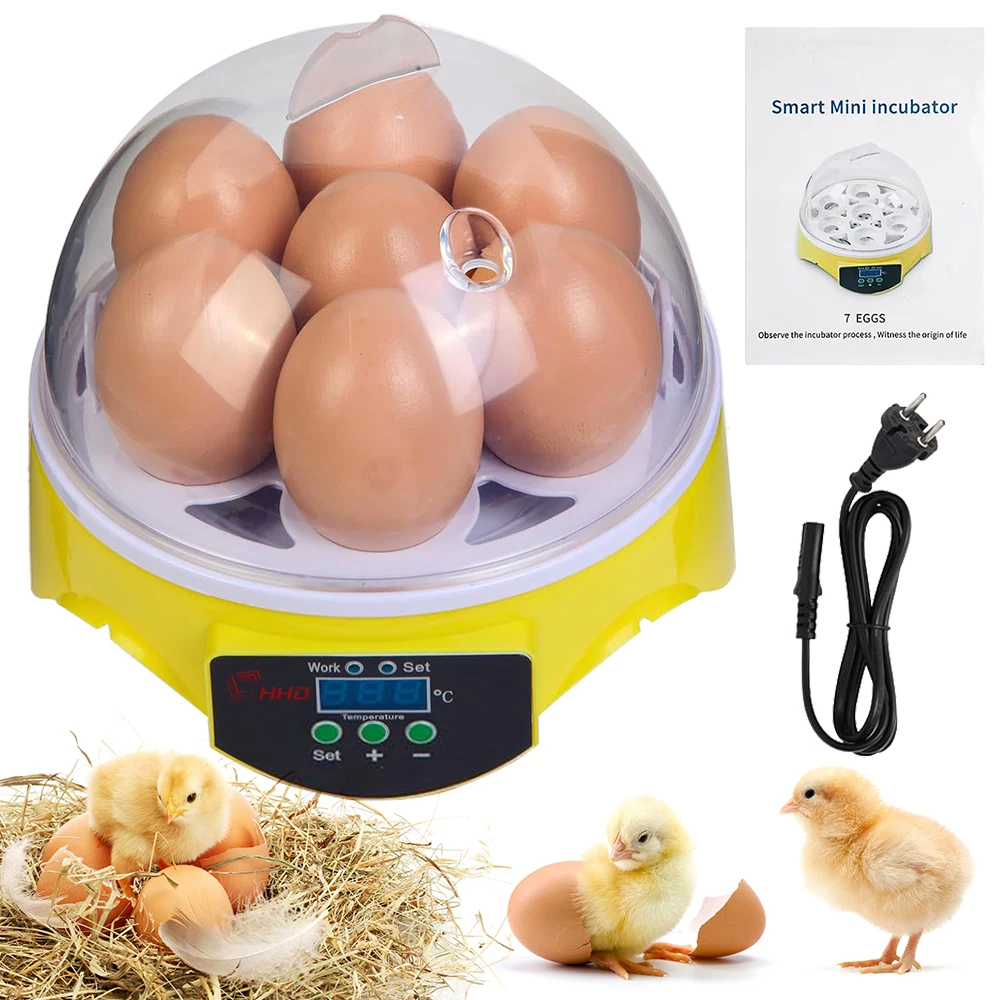 7 Capacity- Mini Sized Intelli – Quail Egg Incubator Bewertung und Preis