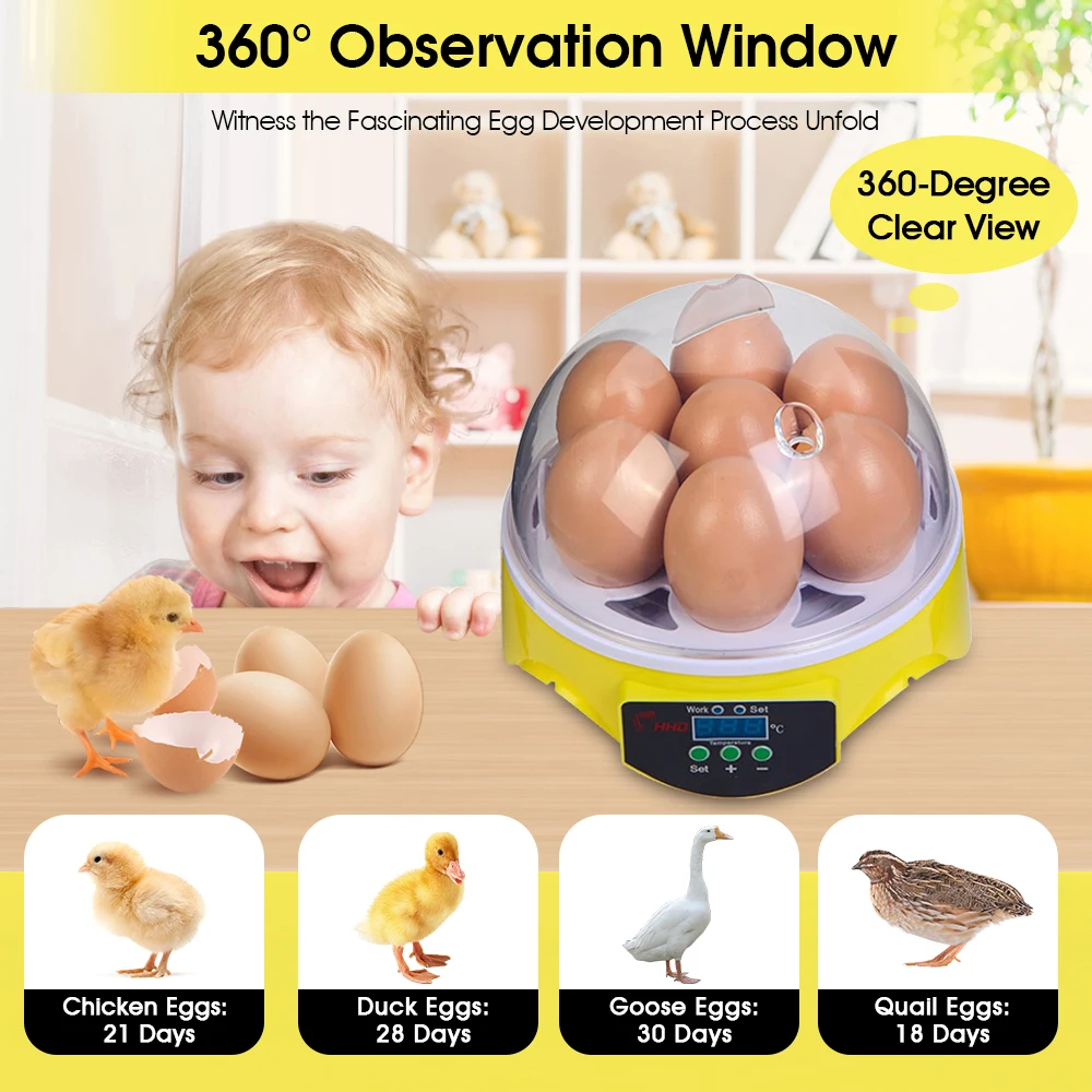 7 Capacity- Mini Sized Intelli – Quail Egg Incubator Bewertung und Preis
