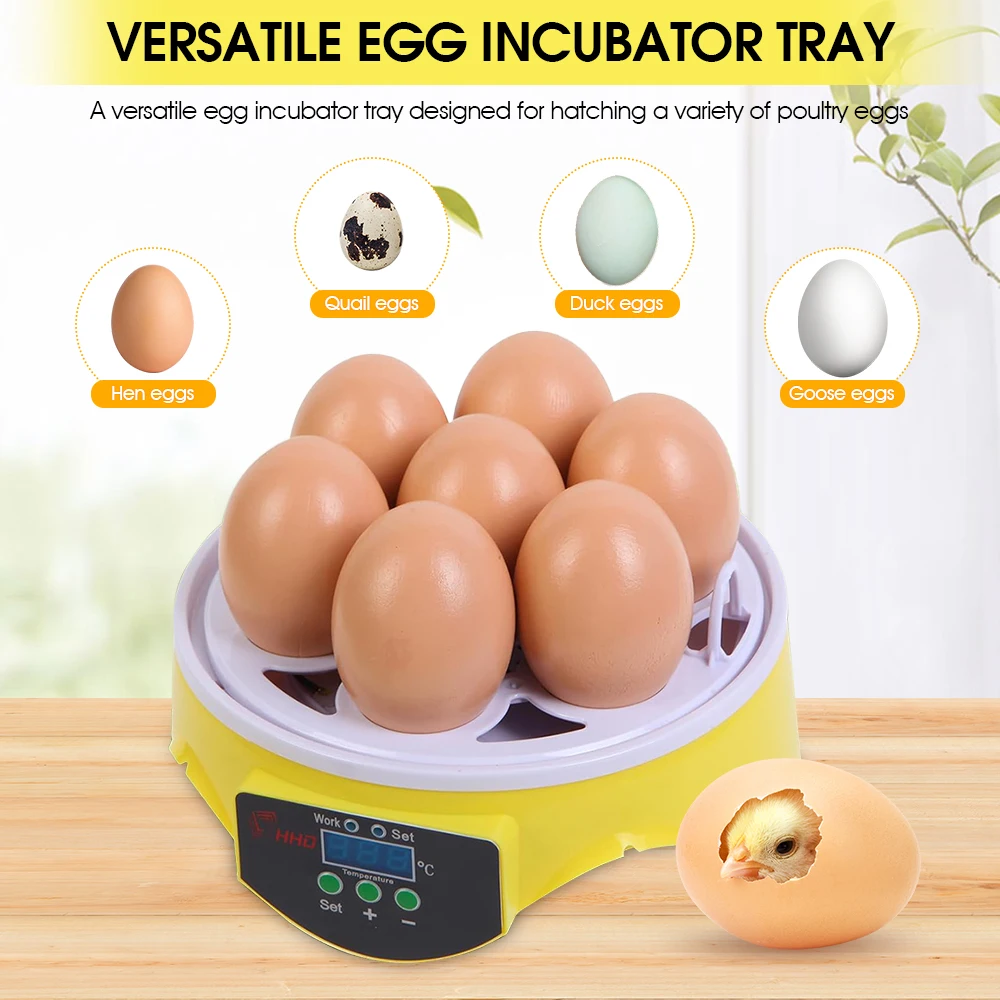 7 Capacity- Mini Sized Intelli – Quail Egg Incubator Bewertung und Preis