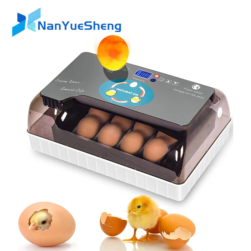 Automatic HHD Best Digital 12  – Quail Egg Incubator Bewertung und Preis