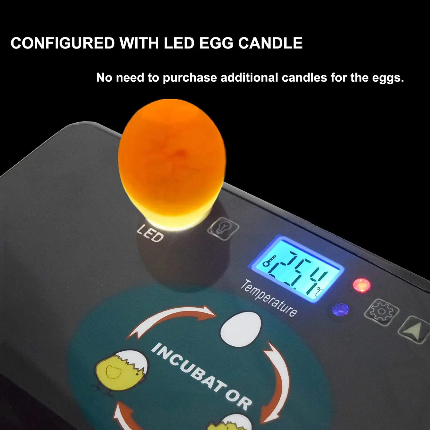 Automatic HHD Best Digital 12  – Quail Egg Incubator Bewertung und Preis