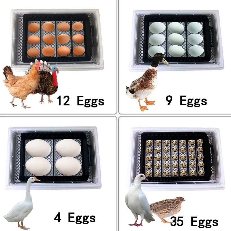 Automatic HHD Best Digital 12  – Quail Egg Incubator Bewertung und Preis
