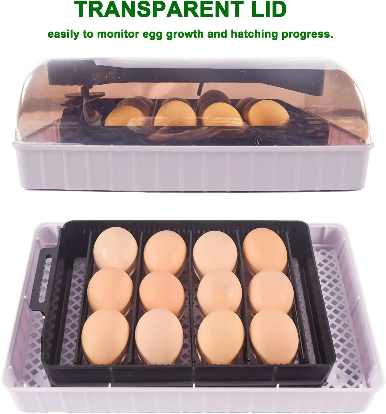 Automatic HHD Best Digital 12  – Quail Egg Incubator Bewertung und Preis