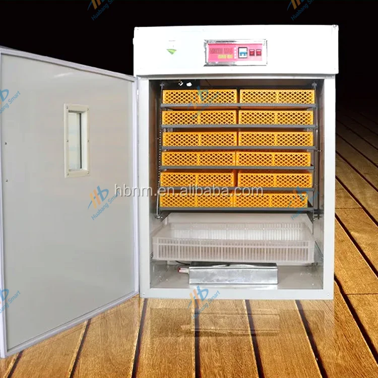 Large-Capacity Fully Automatic – Quail Egg Incubator Bewertung und Preis