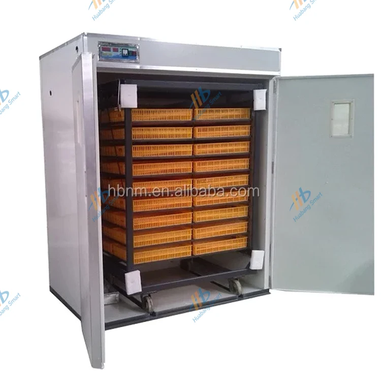 Large-Capacity Fully Automatic – Quail Egg Incubator Bewertung und Preis