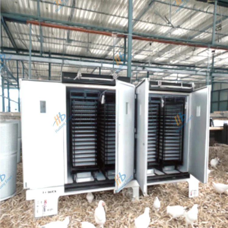 Large-Capacity Fully Automatic – Quail Egg Incubator Bewertung und Preis