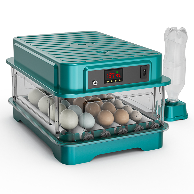 Fully Automatic  Chicken Quail – Quail Egg Incubator Bewertung und Preis