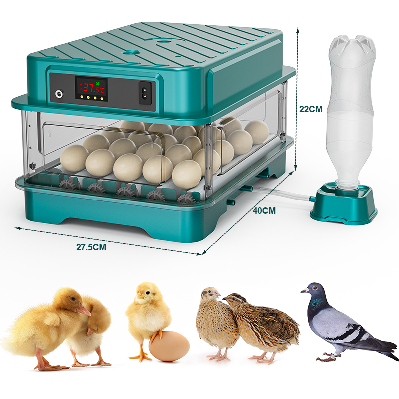 Fully Automatic  Chicken Quail – Quail Egg Incubator Bewertung und Preis