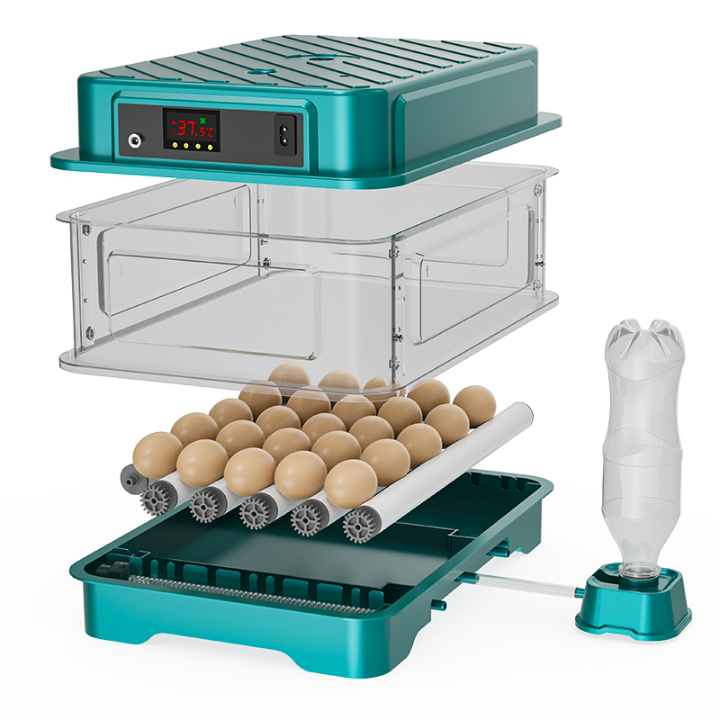 Fully Automatic  Chicken Quail – Quail Egg Incubator Bewertung und Preis