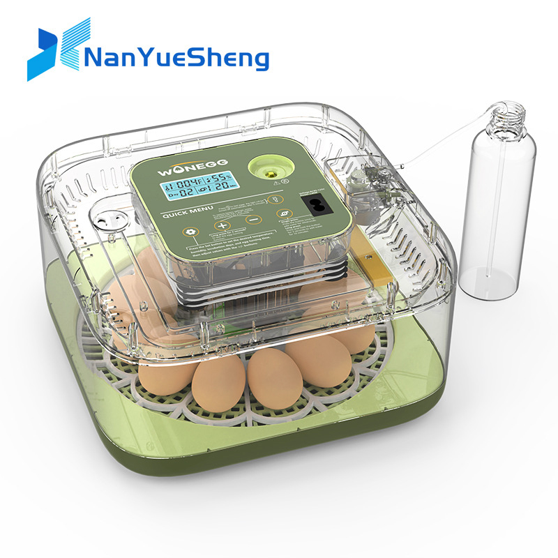 New 12 Chick egg Hatchery mach – Quail Egg Incubator Bewertung und Preis