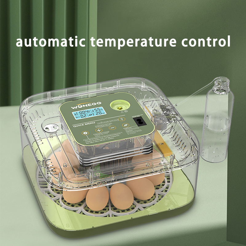 New 12 Chick egg Hatchery mach – Quail Egg Incubator Bewertung und Preis