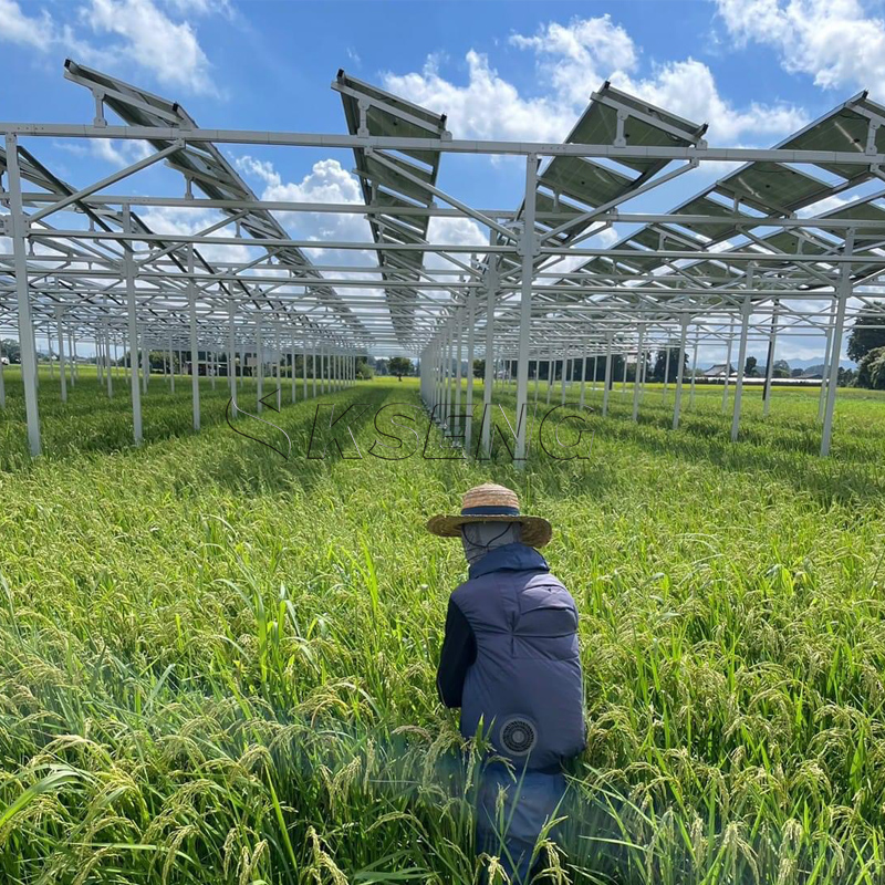 Japan`s New Agriculture Alumin – Sustainable Agriculture/Farming Bewertung und Preis