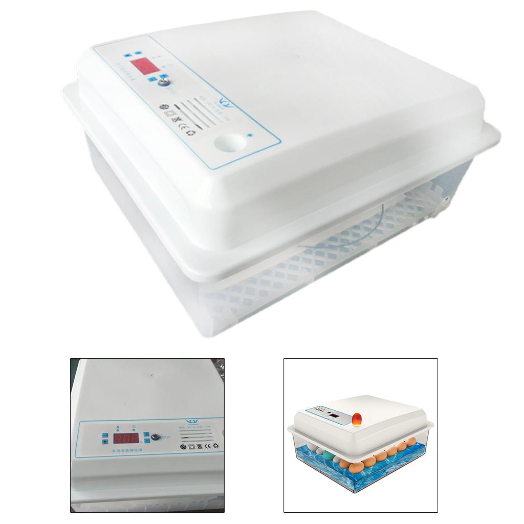 Automatic Egg Incubator Fully  – Quail Egg Incubator Bewertung und Preis